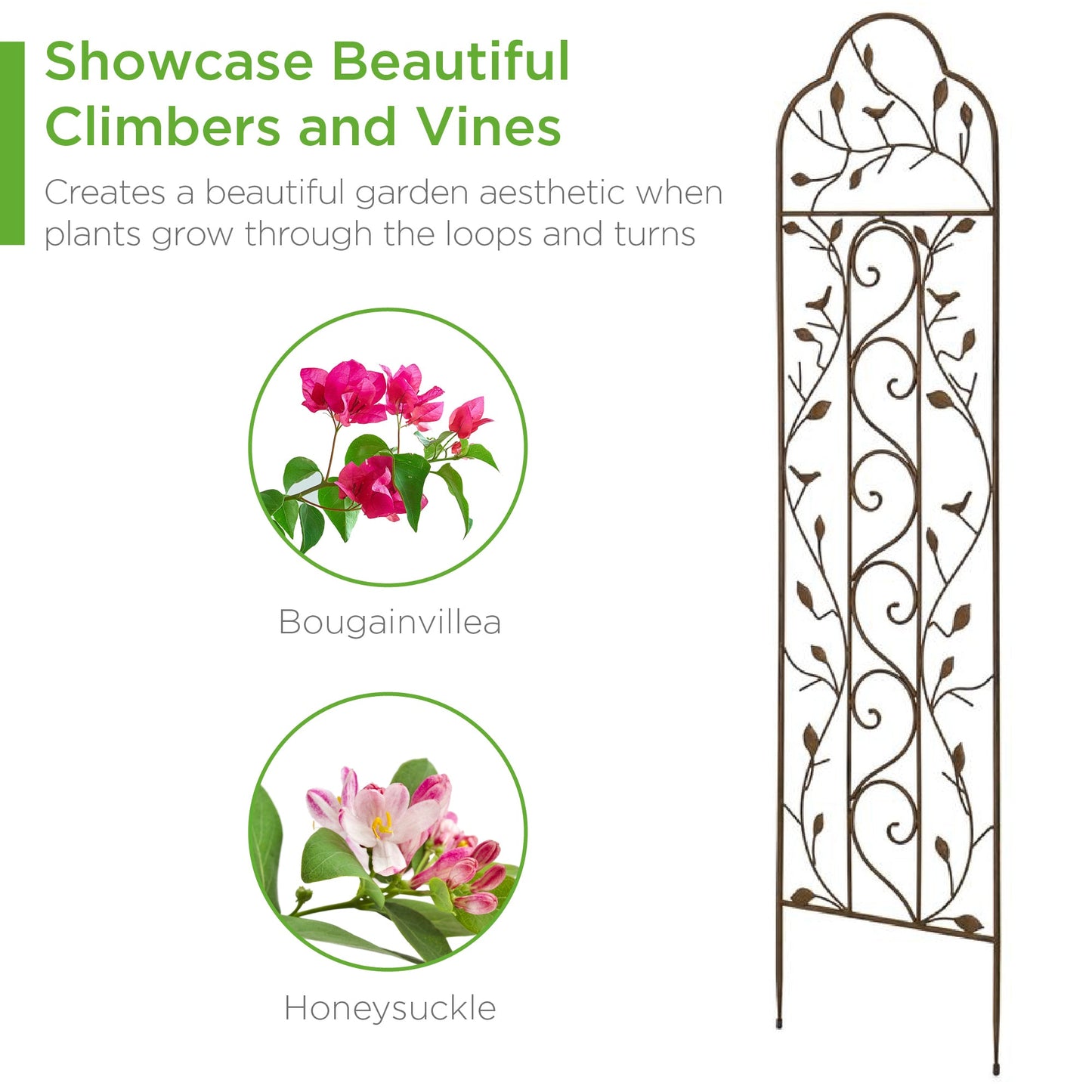 Iron Arched Garden Trellis Fence Panel w/ Branches Birds - 60x15in
